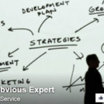 The Obvious Expert on Growing Your Business